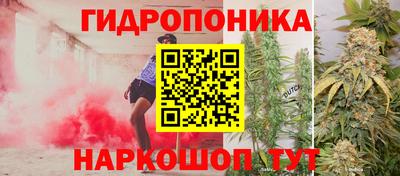 сатива Пенза