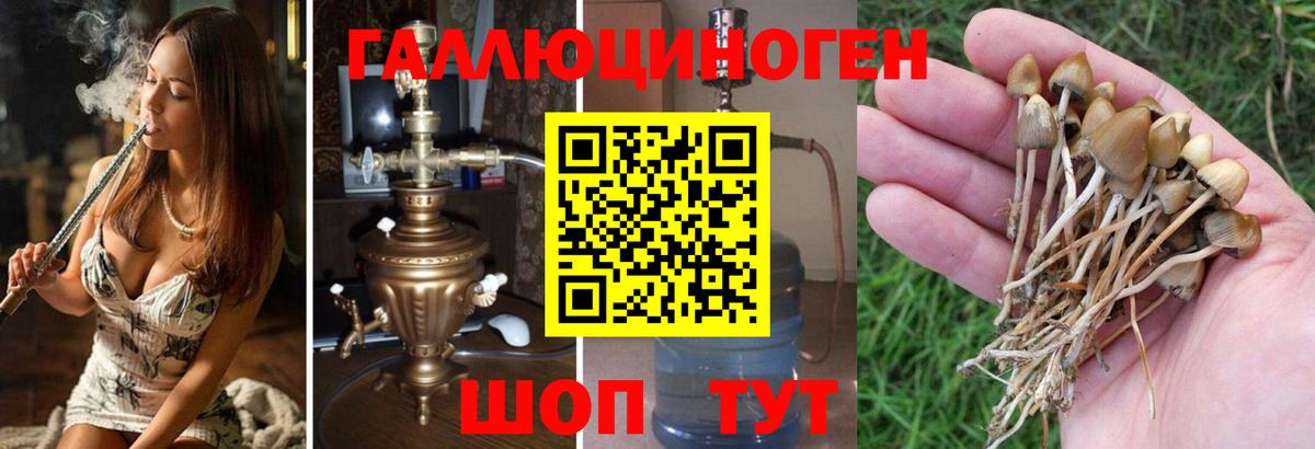 Сызрань  ГАШ  Cocaine  МЕФ кристаллы  Вход с VPN  Канабис 